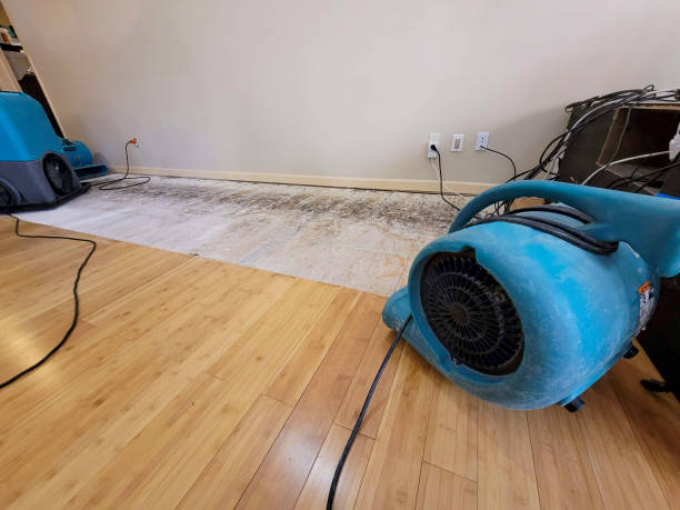 Professional Sewage Cleanup technician working in Moraga, CA